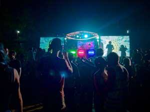 Goa Nights